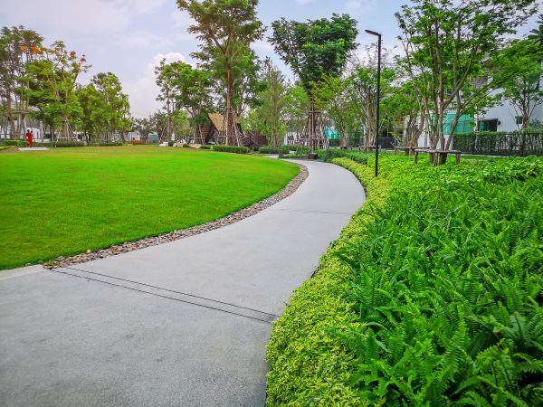 Cement Walkway Service in La Quinta