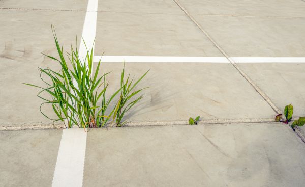 Concrete Parking Installation in La Quinta