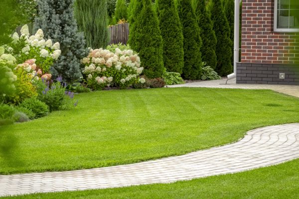Landscape Walkway Installation in La Quinta